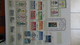 Delcampe - B377 Collection Timbres Et Blocs ** D'Allemagne. A Saisir !!! - Sammlungen (im Alben)