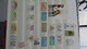 Delcampe - B377 Collection Timbres Et Blocs ** D'Allemagne. A Saisir !!! - Sammlungen (im Alben)