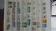 Delcampe - B377 Collection Timbres Et Blocs ** D'Allemagne. A Saisir !!! - Sammlungen (im Alben)