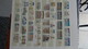 Delcampe - B377 Collection Timbres Et Blocs ** D'Allemagne. A Saisir !!! - Sammlungen (im Alben)