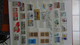 Delcampe - B377 Collection Timbres Et Blocs ** D'Allemagne. A Saisir !!! - Collections (en Albums)