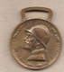 Italia - Medaglia Della Prima Guerra Mondiale 1915-1918 "Coniata Nel Bronzo Nemico" Per L'Unità D'Italia - Altri & Non Classificati
