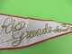 Grand Drapeau   Souvenir / Ancien /BRESIL/ Rio Grande Do Sul / Années 1950   DFA27 - Autres & Non Classés