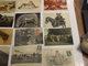 LOT D UNE COLLECTION DE 243 CARTES POSTALES ANCIENNES ET SEMI MODERNES THEMES ANIMAUX CHEVEAUX OISEAUX CHATS CHIENS - 100 - 499 Postales