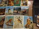 Delcampe - LOT D UNE COLLECTION DE 243 CARTES POSTALES ANCIENNES ET SEMI MODERNES THEMES ANIMAUX CHEVEAUX OISEAUX CHATS CHIENS - 100 - 499 Postales