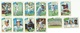 1980 TOPPS BASEBALL CARDS – TORONTO BLUE JAYS – MLB – MAJOR LEAGUE BASEBALL – LOT OF TWELVE - Konvolute