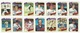 1980 TOPPS BASEBALL CARDS – BOSTON RED SOX – MLB – MAJOR LEAGUE BASEBALL – LOT OF FOURTEEN - Lotes