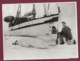 020220A - PHOTO DE PRESSE 1959 - CHASSE OURS BLANC Oslo Norway Arctic Safari Expedition Ship Havella Of Tromsö - Sport
