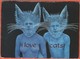 Cartoline - Tematica - Pubblicitari - I Love Cats - Topless - Not Sent - Pubblicitari