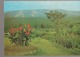 C. P. - PHOTO - BUEA MOUNTAIN HOTEL - VIEW OF THE GARDEN - EN 1978 - - Cameroun