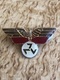 AWB Wenkommando Collar Badge From The 90s For Generals - Army