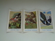 Beau Lot De 9 Cartes Postales Oiseaux  Oiseau  Illustrateur H.Dupond     Mooi Lot Van 9 Postkaarten Van Vogels  Vogel - 5 - 99 Cartoline