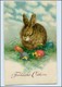 Y3211/ Ostern Osterhase Hase Litho AK 1929 - Ostern