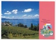 SUISSE - 4 Cartes Postales (Entiers) - Lac Léman / Lac De Constance - Neuves Et Oblitérées Premier Jour. - Interi Postali