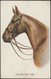 FE Valter - Horse, Never Say Die!, 1921 - Inter-Art Co Postcard - Chevaux