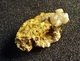 Stolzite On Matrix ( 1.5 X 1 X 1 Cm ) Sainte - Lucie Mine - Lozere - France - Minéraux