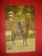 N°0950. WWI. CARTE BELGE ILLUSTRANT L’ARMEE BELGE. GENDARME A CHEVAL EN TENUE DE SORTIE. - War 1914-18