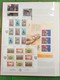 Delcampe - LOT N° E 104  PAYS DIVERS    Un Bon Classeur De Timbres Neufs ** - Collections (en Albums)