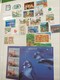 Delcampe - LOT N° E 104  PAYS DIVERS    Un Bon Classeur De Timbres Neufs ** - Collections (en Albums)