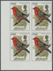 Aitutaki: 1974/1986 (ca.), Accumulation With Approx. 1.350 IMPERFORATE Stamps And 110 Imperf. Miniat - Aitutaki