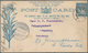 Delcampe - Australische Staaten: 1870's-1900's Ca.: More Than 160 Postal Stationery Items From Victoria, South - Colecciones