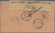 Malaiische Staaten: 1900's-1940's: More Than 150 Covers, Postcards And Postal Stationery Items Used - Federated Malay States