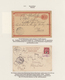 Deutsche Post In China: 1890/1917, Vielseitige Ausstellungssammlung "Deutsche Post In China" Von Ca. - Chine (bureaux)