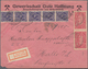 Deutsches Reich - Lokalausgaben 1918/23: HALLE (OPD): 1923, Sammlung Von 25 Briefen Und Karten, Sowe - Covers & Documents