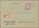 Delcampe - Alliierte Besetzung - Gebühr Bezahlt: 1945/1948, Rheinland/Mosel/Pfalz Plz 22, Saubere Partie Von Ca - Autres & Non Classés