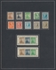 Sowjetische Zone: 1945/1949, Saubere Ungebrauchte/postfrische Sammlung Auf Selbstgestalteten Albenbl - Autres & Non Classés