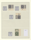 Bizone: 1945/1946, AM-Post, Spezialisierte Postfrische Sammlung Im Lindner-Ringbinder Mit Marken All - Autres & Non Classés