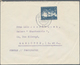 Bundesrepublik Deutschland: 1952/1962, Bestand Von Ca. 310 Briefen Und Karten Mit Nur Einzelfrankatu - Sammlungen