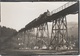 Foto Rohling AK Markersbach Eisenbahn Zug Brücke Viadukt Mittweida A Raschau Scheibenberg Schwarzenberg Vogel Erzgebirge - Markersbach