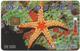 Maldives - Dhiraagu (chip) - Starfish - 2MLDGIJ - Chip Siemens S37, 200MRf, Used - Maldivas