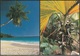 * Cartolina - Seychelles - Viag. 1988 Per Bergamo - Seychelles