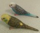 Lot De 2 Figurines Oiseaux Birds Perruches Ondulées Verte Et Bleue - Pájaros