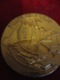 Médaille De Table/écrin/Foire De PARIS/Bronze Doré/ Maurice ROSEN /1975   MED305 - Professionnels / De Société