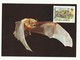 WWF  CARTE MAXIMUM  CHAUVE SOURIS TP  BULGARIE - Vleermuizen