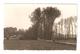 CPA 91 WISSOUS Château De Montjean Route Arbres Murs Château Semi Caché Vue Peu Commune 1950 - Autres & Non Classés