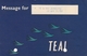 TEAL Tasman Empire Airways Australia Flight Informations Message For Passenger, Stationery - Articles De Papeterie