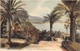 Delcampe - ¤¤   -  MONACO  -  MONTE-CARLO   -    Lot De 13 Cartes  -   ¤¤ - Verzamelingen