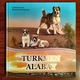Book - Photo Album - TURKMEN ALABAY - Gurbanguly Berdimuhamedov 2019 - Autres & Non Classés