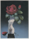 Christos Achilleos 1992 #56 Still Life FPG Cards - Other & Unclassified