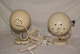 LOT D ANCIEN SPOT BOULE - Lampe , Deco , Loft , Atelier , Design - Lighting & Lampshades