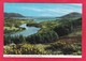 Modern Post Card Of Carlingford Lough,Co.Down,Northern Ireland,P45. - Down