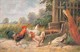 Animal Animaux Coq Poule Paon Oiseau Oiseaux Gallinacé Gallinacés Illustration - Pájaros