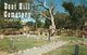 BOOT HILL CEMETERY-DODGE CITY KANSAS-1964 - Kansas City – Kansas