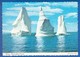 Canada; Icebergs - St. John's