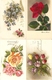 LOT 01 - 80 Cartes CPA , GREETINGS , FLOWERS , PERIOD 1920-1970 - 5 - 99 Postkaarten