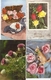 Delcampe - LOT 01 - 80 Cartes CPA , GREETINGS , FLOWERS , PERIOD 1920-1970 - 5 - 99 Postkaarten